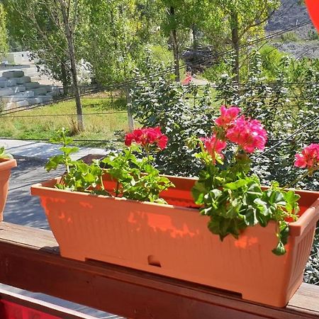 Vila Valencia Azuga Ngoại thất bức ảnh
